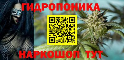 дмт Нальчик