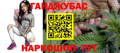 дмт Нальчик