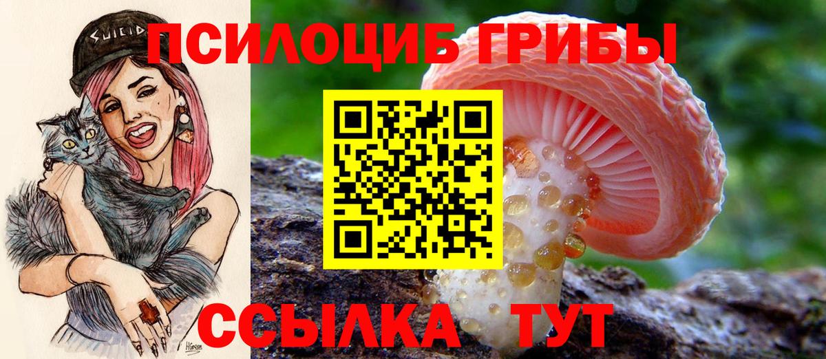 Галлюциногенные грибы прущие грибы Нижний Тагил