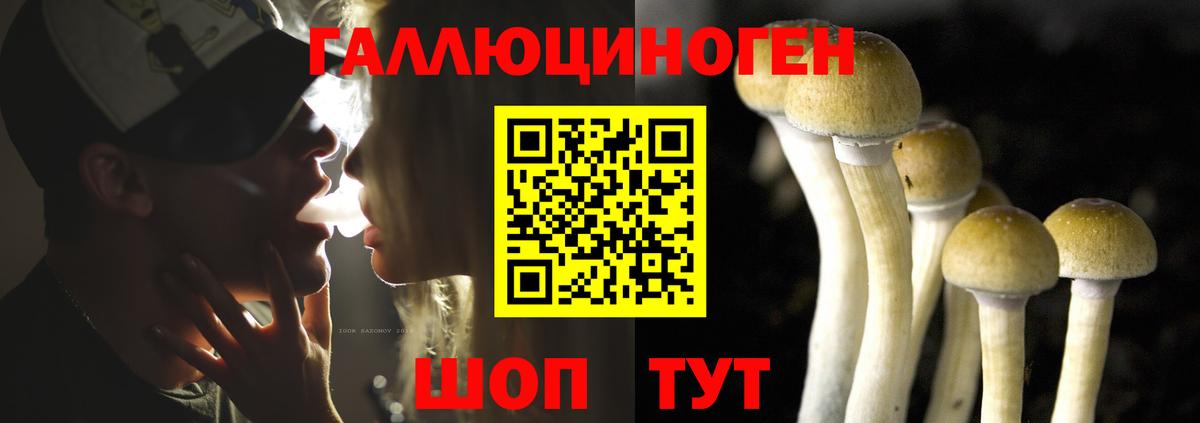 Псилоцибиновые грибы ЛСД  купить закладку  Вход с VPN  Нижний Тагил  Галлюциногенные грибы GOLDEN TEACHER 